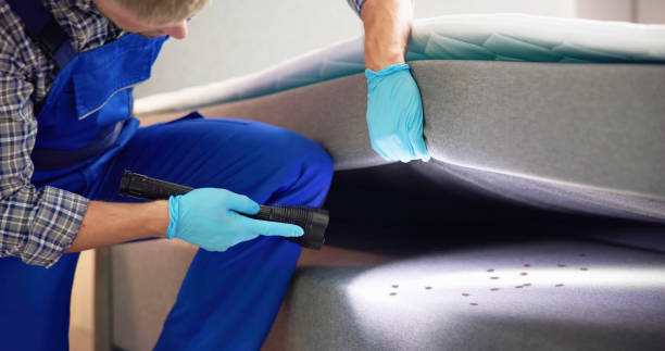 Best Cockroach Control Services  in Casa Grande, AZ
