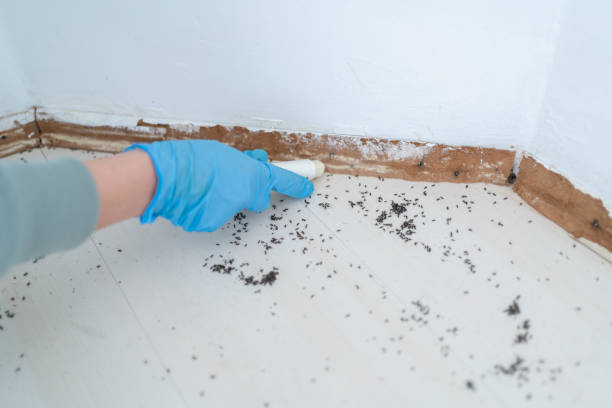 Best Commercial Pest Control Services  in Casa Grande, AZ