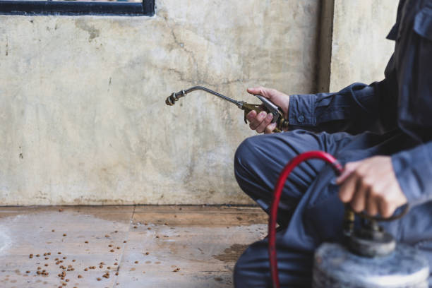 Best Emergency Pest Control  in Casa Grande, AZ