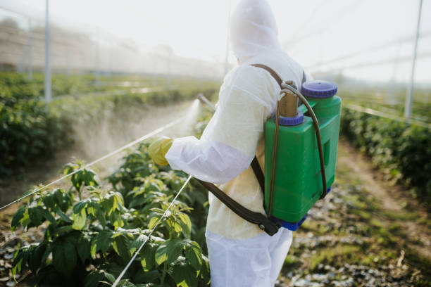  Casa Grande, AZ Pest Control Pros